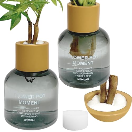 3world ハイドロカルチャー 水耕栽培 観葉植物 育成キット スポンジ付 透明 プラスチック ポット ロゴ入り ボトル型 SW2493(グレー)2セット