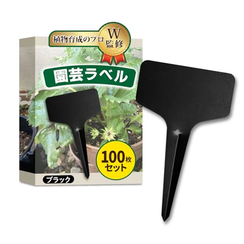 [Garage Brand Product] ݥ٥ 100祻åȡڿʪΥץWƽˤǺxT (֥å)