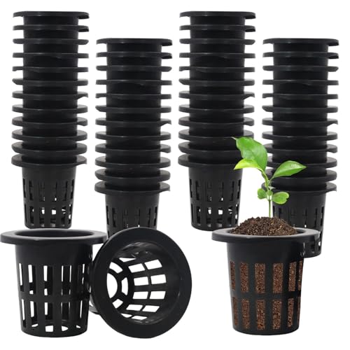 KKLM ̺ȭ 꿢 ץ饹ååݥå ̺ݥݥå 50ĥå ̺ݤ˻Ѳǽ ̤ǰư䤹 ڤ֤κݤ˺...