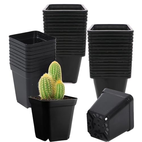 kasanidika ĥݥå ʪå ĥݥåȡ40ĥåȡۥץȭ ץ󥿡 ȭ ӿ  ɻ ȯ¥ ʪ ں...