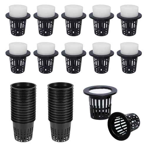 Esforzarse 30ĥå ץ饹ååĥݡ̺ȭå ݥդĶͥͭ 꿢 ʪåסåݥ...