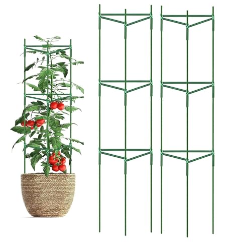 koundeneko ʪ ȥޥȻ 2ĥå ѷ ǥ˥ѻ դñ