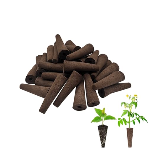 Bookwarmۡ30ĥåȡۿ̺ ݥ ̺ݥå ۿ她ݥ ͤؤݥåɡ̵ھ ľ١úǽ ⥬ǥбò...