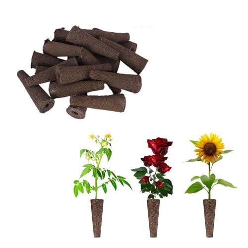 水耕栽培 スポンジ 10個入 植えるスポンジ 水耕栽培キット 水耕スポンジ 栽培キット 詰め替えポッド 苗床 室内 ガーデン 植物育成