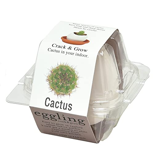 聖新陶芸 家庭菜園 簡単 栽培キット カクタス 室内 香草 野菜 栽培セット 約8×7cm エッグリング クリアパッケージ 母の日 プレゼント 誕生日 EG-5...