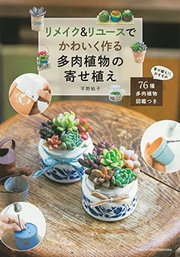 リメイク&リユースでかわいく作る多肉植物の寄せ植え