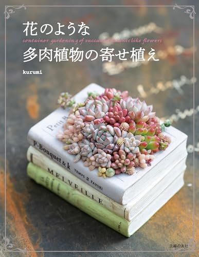 花のような多肉植物の寄せ植え