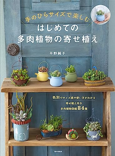 はじめての多肉植物の寄せ植え(手のひらサイズで楽しむ)