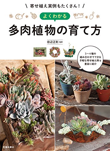 寄せ植え実例もたくさん! よくわかる多肉植物の育て方