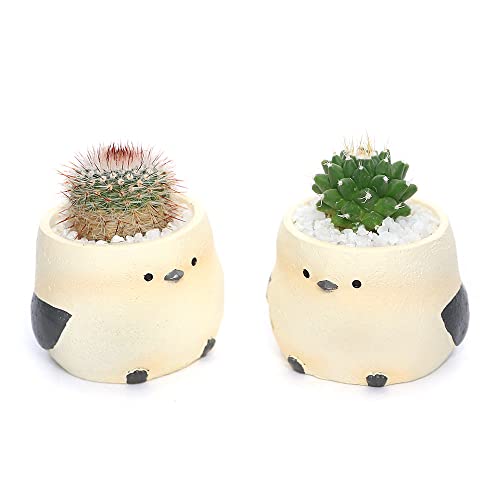 charmۡʴտʪˤޤץܥƥ ȥ륢˥ޥ ޥʥ1ȭ Ǥޤ뺽 ̳ƻߵȯԲ