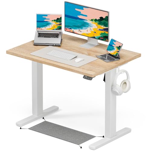 Acrolix 電動昇降デスク 昇降式テーブ スタンディングデスク 幅 100cm 耐荷重 80kg デスク下隠し収納 高さメモリー機能 静音 上下自動昇降 収納フック付き オフィス/テレワーク用 高さ調整可能