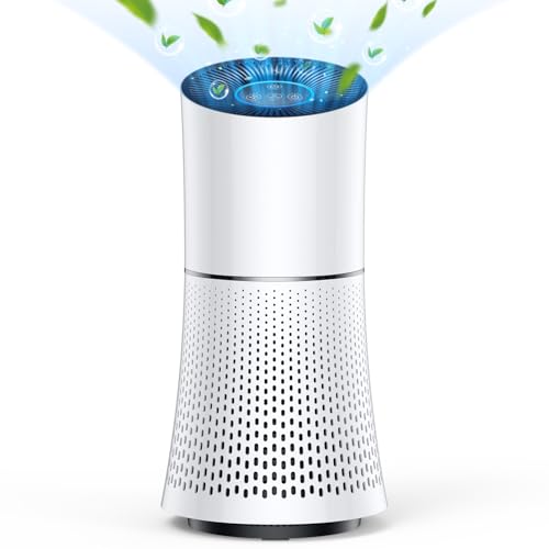 【2025新登場・強力浄化】 空気清浄機 花粉 小型 ペット タバコ 脱臭機 3重 HEPA フィルター 小型空気清浄機 強力脱臭 アレルギー 対策 PM2.5...