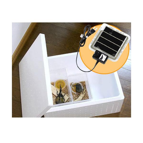  ݲå ȯˢ ѥͥҡ 1¤