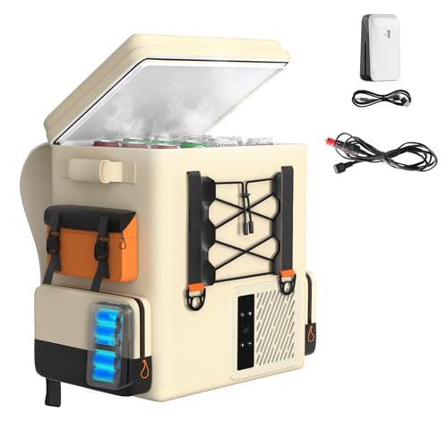 Litheli ポータブル冷蔵庫 20L -20℃〜20℃ 急速冷凍 車載冷蔵庫 バッテリー内蔵可能 小型冷凍庫 省エネ 静音 3WAY電源対応 AC100V ...