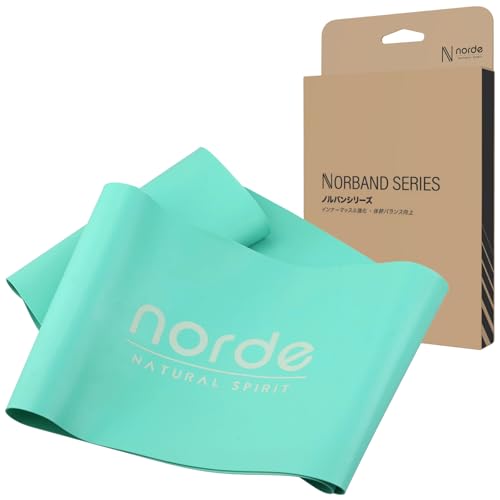 【理学療法士共同開発 x 体幹トレーニング特化】トレーニングチューブ 幅10x円周70cm 筋トレゴムバンド..