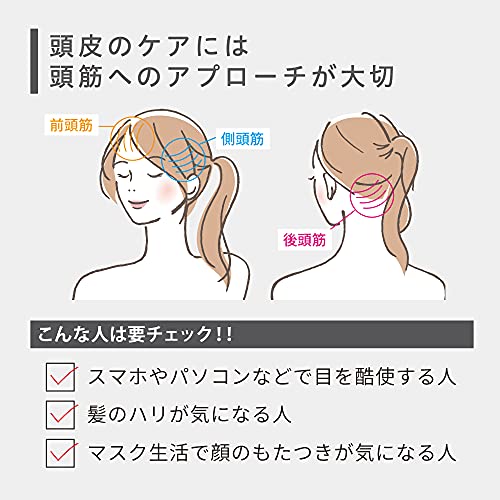 �� �٥륷����/Bellcida �ۥǥ󥭥�����ץ֥饷 �֥�å�