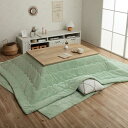 イケヒコ こたつ 布団 長方形 ラピアス ピスタチオグリーン 約205×285cm 無地 やわらか ふかふか フェミニン #6842849