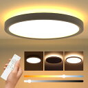【hidemasa】シーリングライト LED 間接照明 調光調色 上下発光 照明器具 節電対策 リモコン操作 タイマー機能 省エネ 薄型 簡単取付 天井照明 和...