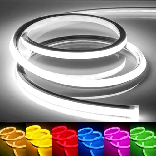 LED�ơ��ץ饤�� 100V EL�ָ����塼�ִ� �⵱�� ���� �ɿ� ���� �ͥ���饤�� ���ǲ�ǽ �ޤ�ʤ����� ���ܾ��� �������� �ץ饰����ɥץ쥤