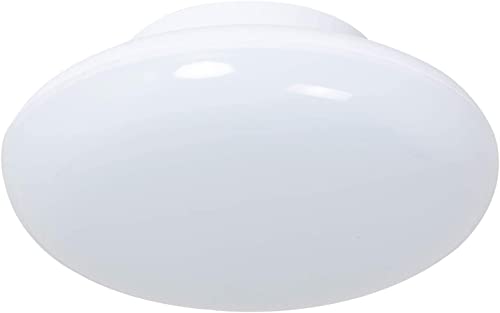 Ķ LED 󥰥饤  100W  ˥󥰥饤 10W 6 2000lm LED饤 ߥ  ݼ 󥰥...