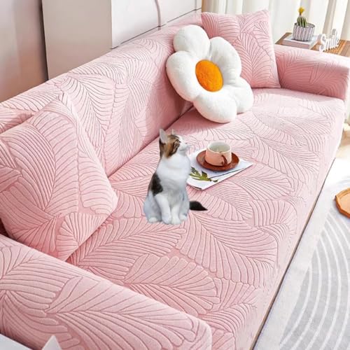 Liveȥ եС ȥå 2ͳݤ  եС ɪդ ɪʤ η ȥåեС Ǻ Ӥ ...