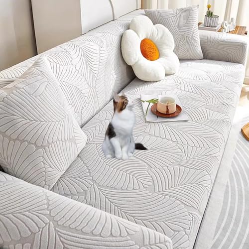 Liveȥ եС ȥå 4ͳݤ  եС ɪդ ɪʤ η ȥåեС Ǻ Ӥ ...