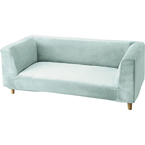 ٥ĴեС η 2/3ͳݤ (2ͳݤ, å֥롼)