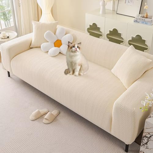 HIMENO եС ȥå 5ͳݤ  եС ɪդ ɪʤ ȥåեС Ǻ Ӥ ߤ ե...