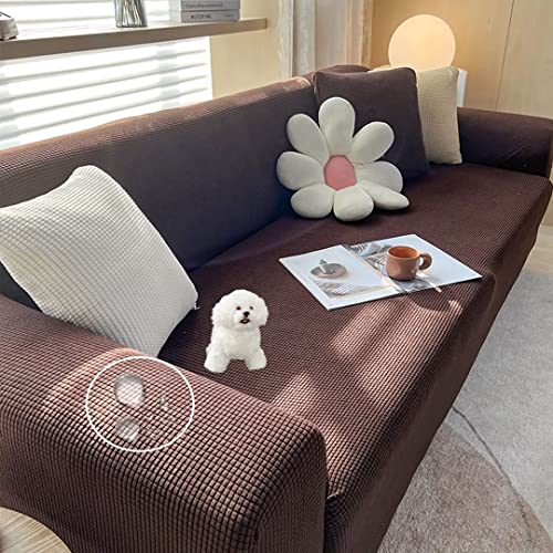 OSONA եС 4ͳݤ ɪդ ù ǭк եС ɿ η ȥå Ǻ ɪʤ ե٥åɥС ޤȤ...