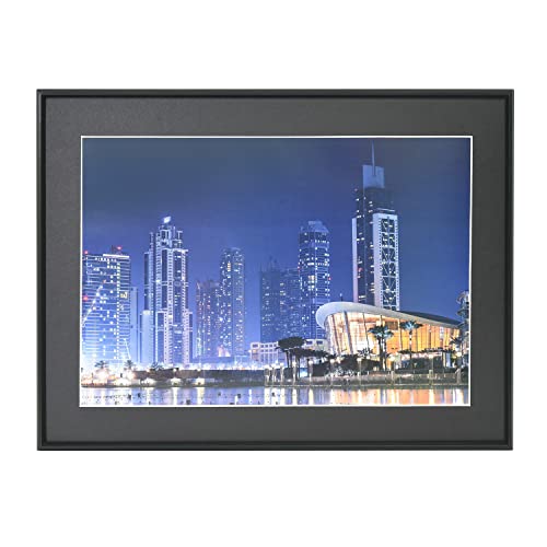 �ե����顼 FUJICOLOR ����߳۱� A31 �磻��4�� �֥�å� 506857