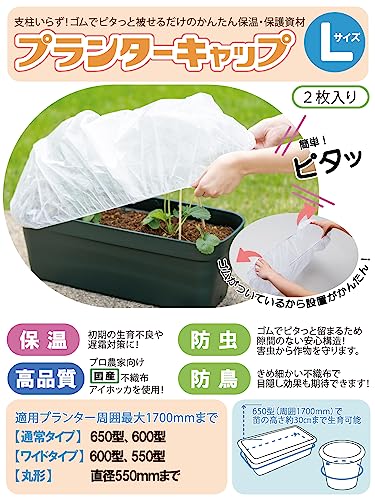 岩谷マテリアル(Iwatani Materials) プランターキャップ Lサイズ 2枚入 / 袋 保温用不織布 初期生育促進 防虫 防鳥 プロ向け 国産不織布 アイホッカ 使用 ゴムでピタッと 簡単 設置 ワンタッチ 支 2