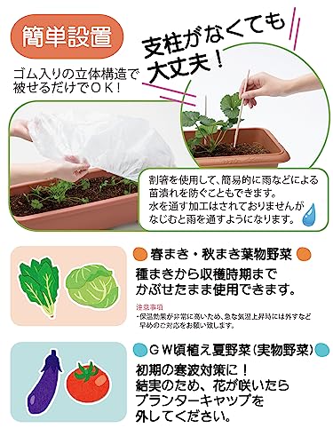岩谷マテリアル(Iwatani Materials) プランターキャップ Lサイズ 2枚入 / 袋 保温用不織布 初期生育促進 防虫 防鳥 プロ向け 国産不織布 アイホッカ 使用 ゴムでピタッと 簡単 設置 ワンタッチ 支 3
