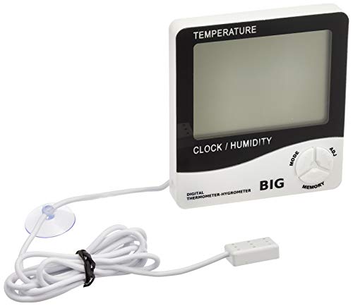 ���ߥϥ� �ǥ����벹���ٷ� BIG