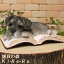 犬の置物 シュナウザー お昼寝中!オン ブック ワンちゃん いぬ オブジェ リアル ドッグ モチーフ 毛並み こだわり オーナメント ガーデニング 愛嬌 カフェ インテリア ベランダアート 2,970円