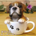 犬の置物 ボクサー ティーカップドッグ Aタイプ ※商品箱無し ワンちゃん いぬ オブジェ リアル ドッグ モチーフ 毛並み こだわり オーナメント ガーデニング 愛嬌 カフェ インテリア ベランダアート