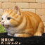 猫　置物　リアルな猫の置物　ベビーキャット 香箱座り　茶とら　動物オブジェ　ガーデンオーナメント　装飾　フィギュア　モチーフ　インテリア　玄関先　庭　雑貨