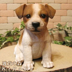 https://thumbnail.image.rakuten.co.jp/@0_mall/zakkakirara/cabinet/05115343/05122561/koinu-jackrussell011.jpg