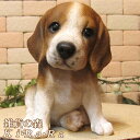 犬の置物 ビーグル お座り ワンちゃん いぬ オブジェ リアル ドッグ モチーフ 毛並み こだわり オーナメント ガーデニング 愛嬌 カフェ インテリア ベランダアート