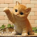 猫 置物 リアル ねこ おねだり子ネコ チャトラ キャット リアルな猫の置物 動物オブジェ ガーデンオーナメント 装飾 フィギュア モチーフ インテリア 玄関先 庭 雑貨