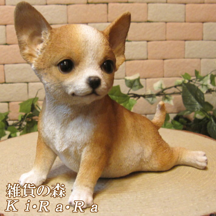 犬の置物 チワワ　休憩中！　ワンちゃん いぬ オブジェ リアル ドッグ モチーフ 毛並み こだわり オーナメント ガーデニング 愛嬌 カフェ インテリア ベランダアートのサムネイル