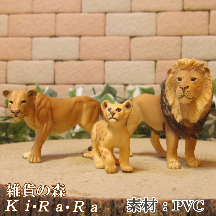 imgrc0119507043.jpg imgrc0119507043.jpg