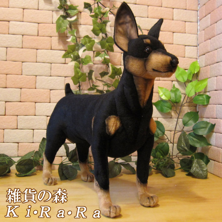 即納 最大半額 犬 置物 ピンシャー ビッグサイズ 大きくてリアルな犬のぬいぐるみ いぬ イヌ ドッグ 動物 アニマル オブジェ 雑貨 フィギュア モチーフ インテリア 玄関 癒し モフモフ もふもふ 代引不可 Pelynt Org 即納 最大半額 犬 置物 ピンシャー ビッグサイズ 大きくてリアルな犬のぬいぐるみ いぬ イヌ ドッグ 動物 アニマル オブジェ 雑貨 フィギュア モチーフ インテリア 玄関 癒し モフモフ もふもふ 代引不可 Pelynt Org