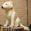犬の置物 北海道犬 ビッグサイズ リアルな犬のぬいぐるみ いぬ イヌ ドッグ 動物 アニマル オブジェ 雑貨 フィギュア モチーフ インテリア 玄関 癒し モフモフ もふもふ 12,210円