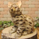 猫 置物 リアルな猫のぬいぐるみ ベンガルヤマネコ 動物 アニマル オブジェ 雑貨 フィギュア モチーフ インテリア 玄関 癒し モフモフ もふもふ(3)