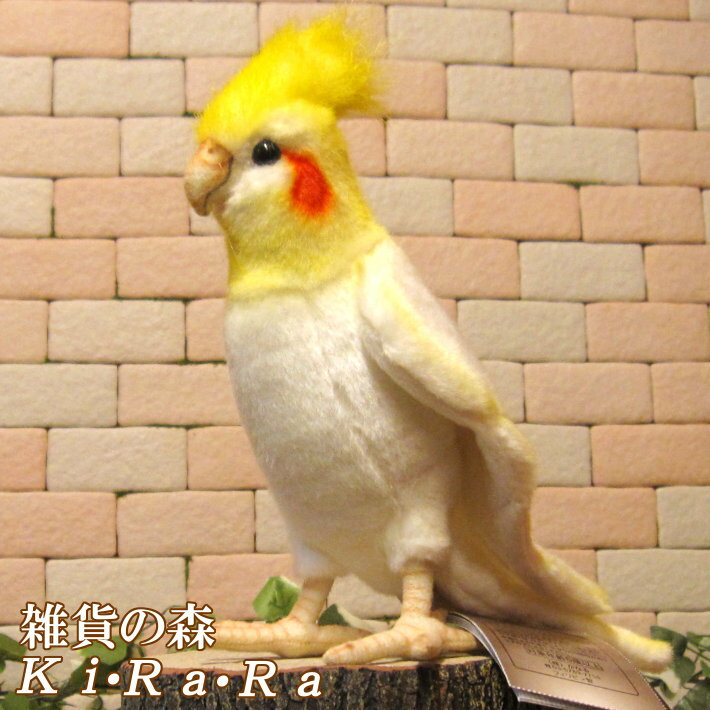 楽天市場】オカメインコ ルチノーの通販