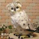 フクロウ 置物 リアルなフクロウのぬいぐるみ 白ふくろう 大 インテリア 動物 置物 オブジェ 雑貨 フィギュア アニマル トリモチーフ 鳥 とり バード