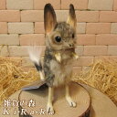 リアルな動物のぬいぐるみ トビネズミ インテリア 小動物 置物 オブジェ 雑貨 フィギュア アニマル ねずみ 鼠 ラット