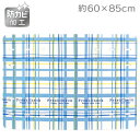 防カビ風呂マット フレッシュチェック【約60×85cm】(3)