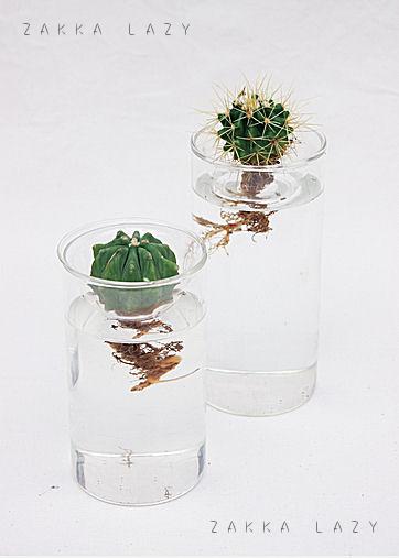 「BULB VASE SHORT」バブルベースショート　球根　チューリップ　水耕栽培　ガラス　クリア　シンプル　自由研究のサムネイル