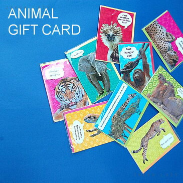 『ANIMAL GIFT CARD』【コンパクト対応】【ネコポス可6枚まで】アニマルギフトカード　アニマル　グリーティングカード　ギフトカード